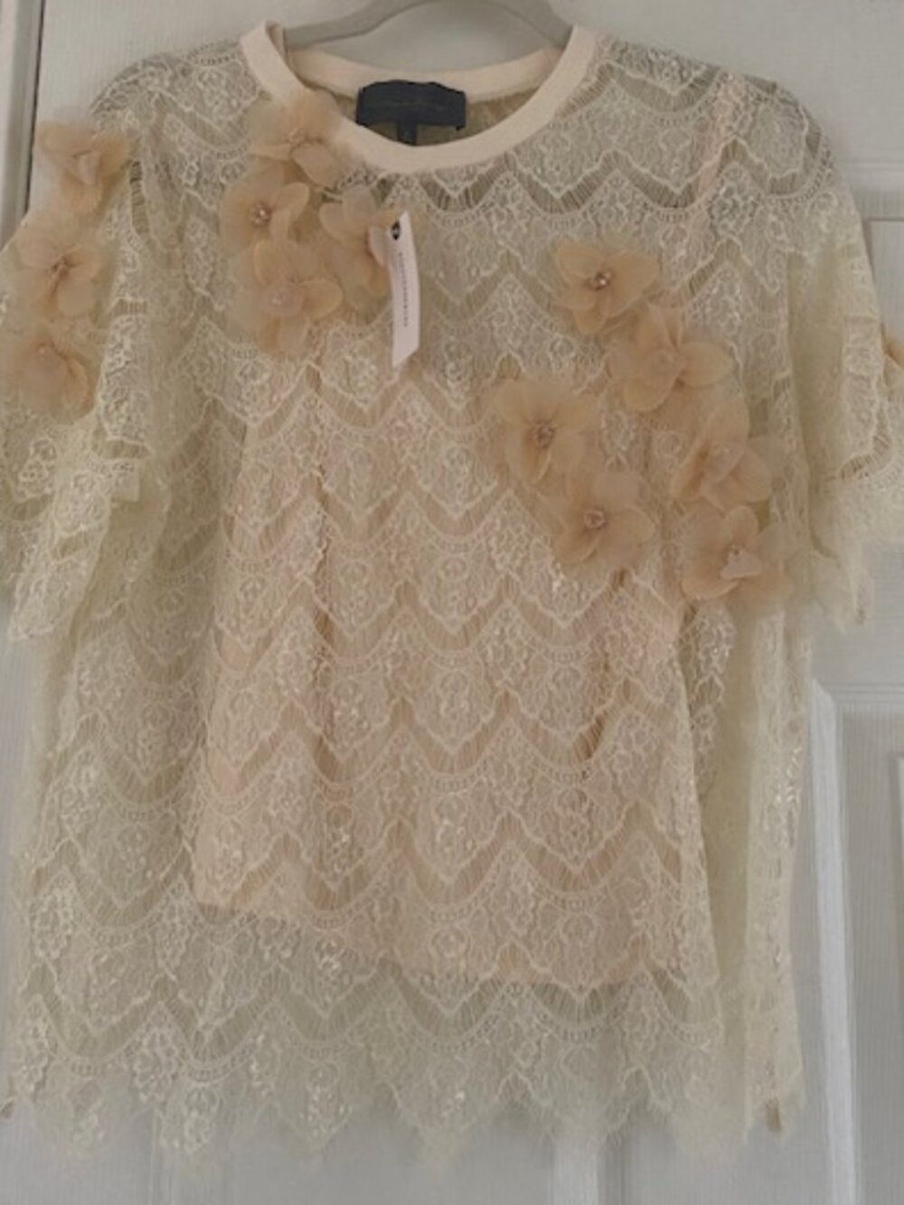 Sunday in Brooklyn Anthropologie shirt